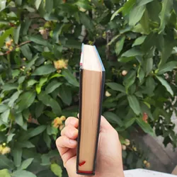 Đại Tướng Trong Lòng Dân - Ấn bản bìa cứng nhà nước đặt hàng 732219