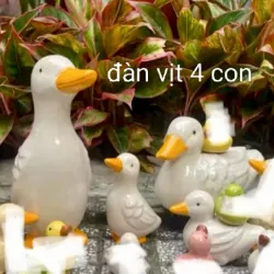 500k cho đàn vịt, đàn gà, 12 gà con, rổ đựng trứng 791105