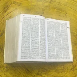 TỪ ĐIỂN ANH - VIỆT ENGLISH - VIETNAMESE DICTIONARY  699410