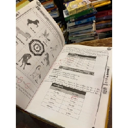 Địa lý ngũ quyết - Triệu Cửu Phong 1001939