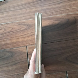 Người tình nguy hiểm 525003