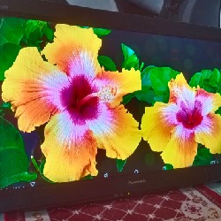 [TiVi Panasonic 32" NGUYÊN RIN - NEW LIKE 99%] Thanh lý