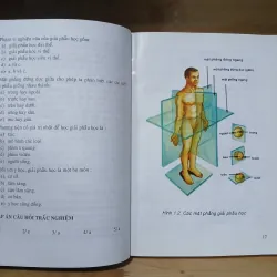 Giản Yếu Giải Phẫu Người (Nxb Y Học 2006) 1031447