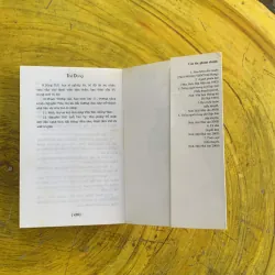 TÌNH CUỘI - THẾ DŨNG  1037288