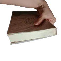 Sách Đồi gió hú – Emily Brontë (Có video quay sách) 908597