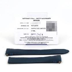 Cartier Santos-Du-Cartier LM WSSA0030 SS Automatic - Hàng hiệu Chính hãng 880470