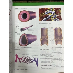 Combined and Co-ordinated Sciences 1023075