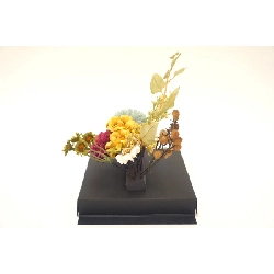 Băng đô - Hàng hiệu Authentic 884053