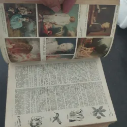 Petit Larousse 1963 993680