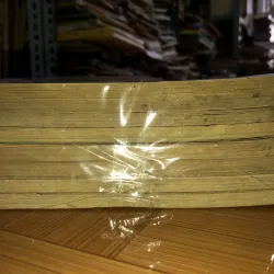 Tình bạn nở hoa  783424