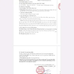 Trà gừng hòa tan Wil, 168g (12 gói x 14g) / hộp 720566