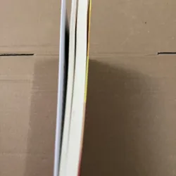 EQ Ứng dụng trí tuệ cảm xúc trong công việc 1008381