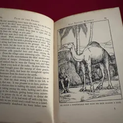 Sách ngoại văn tiếng Anh - Flag of the desert 713370