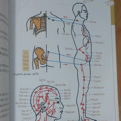 DƯỠNG SINH THÔNG KINH LẠC  517246