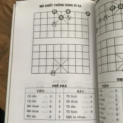 Kỳ đạo nghệ thuật cờ tướng, Dương Diên Hồng  713967