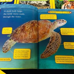 National geographic (Sách nhập) - Level 2 - Full bộ mới nhất 41 quyển + File Mp3 759653