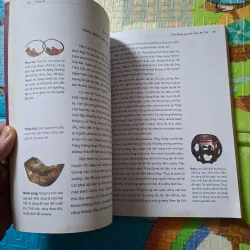 Thủy Hử - Thi Nại Am 791778