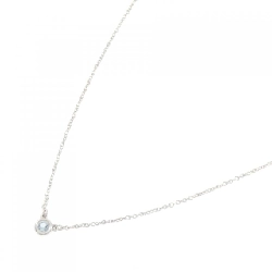 Dây chuyền Tiffany By The Yard - Hàng hiệu Authentic 842297