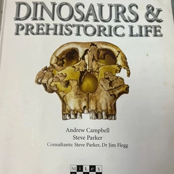 DINOSAURS&PREHISTORIC LIFE 539645