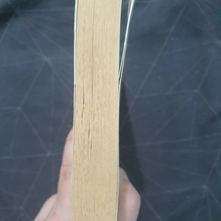 "Khổng Tước Rừng Sâu" - Thái Trí Hằng 498933