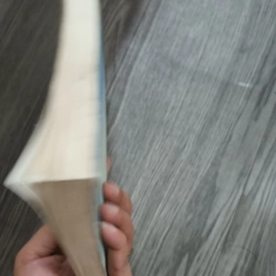 Tập Nghiệm Và Biện Chứng Lâm Sàng- Lương Y Đỗ Tấn Long 530598