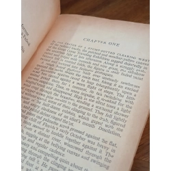 Flaming Road - Robert Wilder 509849