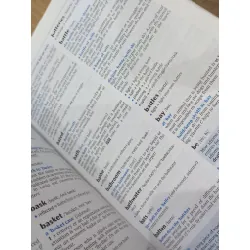 OXFORD IDIOMS: DICTIONARY FOR LEARNERS OF ENGLISH (2006) 179943