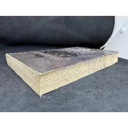 [Phiên Chợ Sách Cũ] Ashen Winter - Mùa Đông Xám - Tập 2 của cuốn sách bán chạy Tàn Tro, Hoa Học Trò - Mike Mullin 2804, 445687