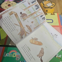 Sách học tiếng Hàn bìa cứng In màu như hình  418800