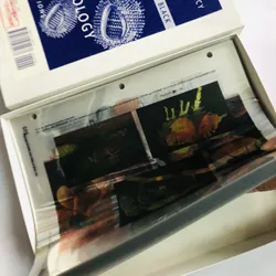 MICROBIOLOGY – PRINCIPLES AND EXPLORATIONS (Transparency Acetates) 599736