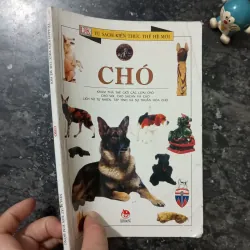 Sách Bách Khoa Tri Thức Bằng Hình: Loài Chó (NXB Kim Đồng) 1007223