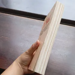 THI NHÂN VIỆT NAM, Hoài Thanh- Hoài Chân 1021699