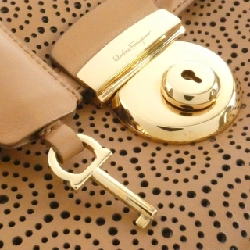 Túi Salvatore Ferragamo 21 F025 617621