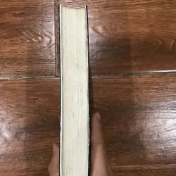 Roi thần Gót sen ba tấc Âm dương bát quái - Phùng Ký Tài (7) 925806