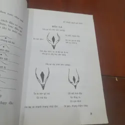 Kỹ thuật NUÔI GÀ CHỌI 565219