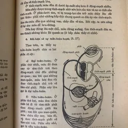 VẠN VẬT HỌC LỚP 9 - NGÔ ĐÌNH HOÀN 778858