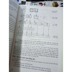 Sinh Lý Bệnh Học 2004 mới 80% ố Sách Y học - Sức khỏe - Thể thao HCM1004 1007531