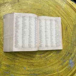 ROGET’S THESAURUS 6 SIXTH EDITION- EDITED BY BARBARA ANN KIPFER, Ph.D. 603308