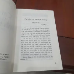 Cái đẹp của sự bình thường 966496