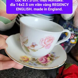 Ấm chén sứ cao cấp Regent English họa tiết hoa hồng và logo