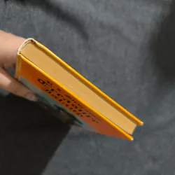 Treasure Island (Hardcover) - Robert Louis Stevenson - Classics 791347