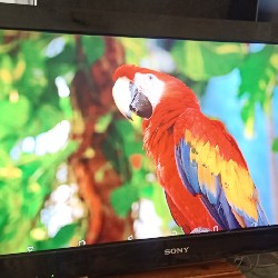 SONY TIVI 32" Full HD TREO TƯỜNG - ĐẸP SẮC NÉT ĐẦY ĐỦ PHỤ KIỆN THANH LÝ] 6236