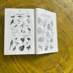 TỪ ĐIỂN ANH - VIỆT ENGLISH- VIETNAMESE DICTIONARY 2007 731063