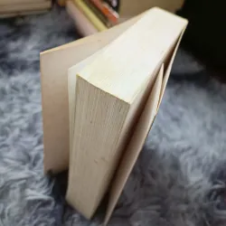 Ông cố vấn (Hữu Mai) 758921