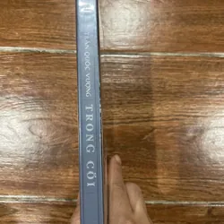 TRONG CÕI- TRẦN QUỐC VƯỢNG (9) 645886