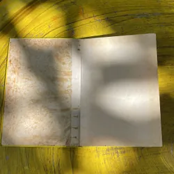 CÁC VỊ ĐỆ NHẤT PHU NHÂN HOA KỲ 735819