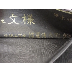 Đai túi - Hàng hiệu Authentic 873282