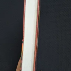 Bầu trời sụp đổ - Sidney Sheldon (bìa cứng) 1027163