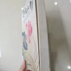 Thiền Đốn Ngộ 📚 711438