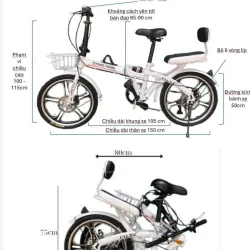 Xe đạp gấp Trương Vương Bazic xám trắng  937282
